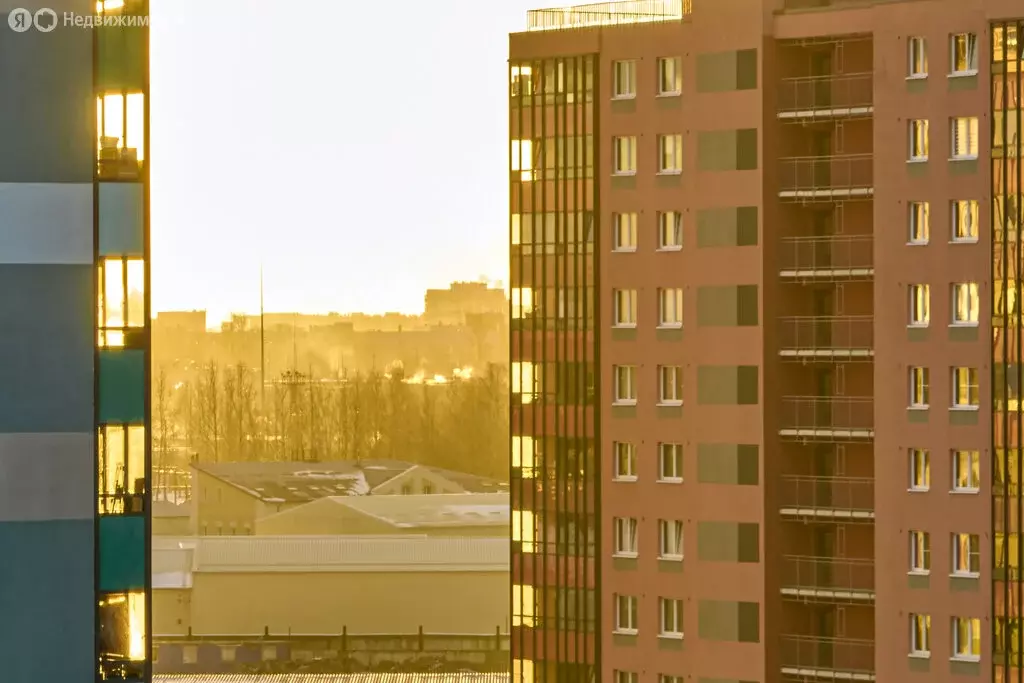 Квартира-студия: Санкт-Петербург, Пахомовская улица, 14к1 (21 м) - Фото 2