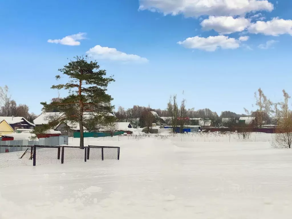 Участок в Московская область, Дмитровский муниципальный округ, с. ... - Фото 2