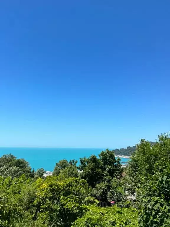 Дом в Краснодарский край, Сочи Сухумское ш., 32К (250 м) - Фото 2