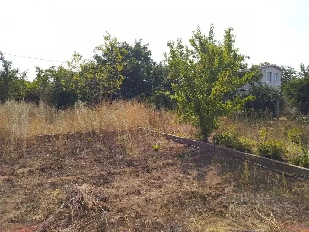 Участок в Волгоградская область, Городищенский район, Ерзовское ... - Фото 1