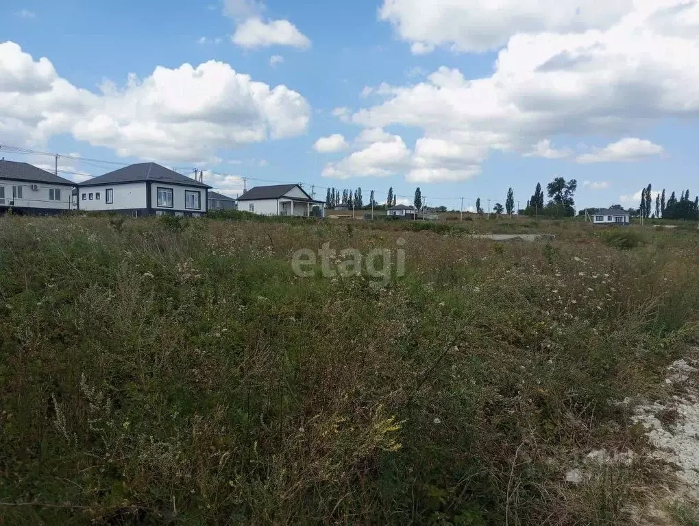 Участок в Краснодарский край, Новороссийск городской округ, ... - Фото 1