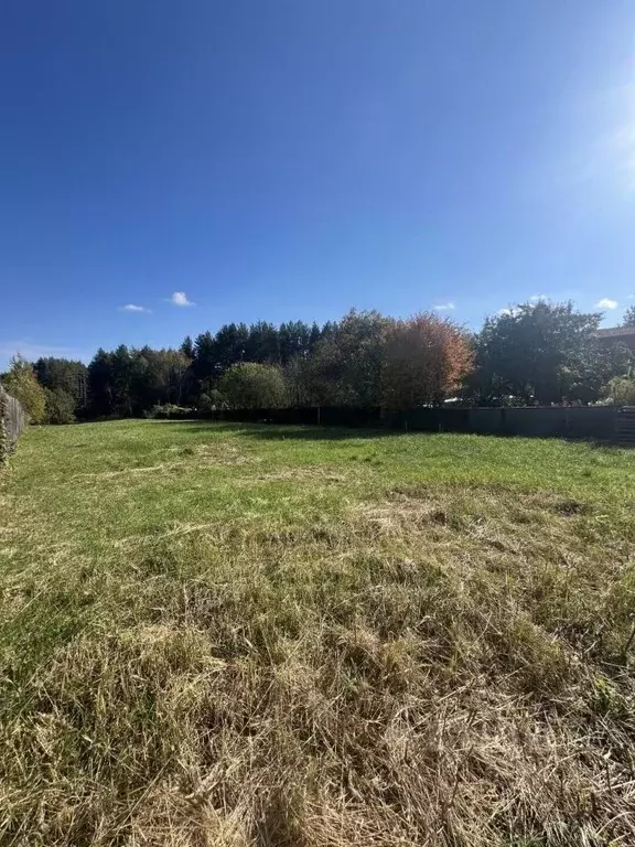 Участок в Нижегородская область, Нижний Новгород городской округ, д. ... - Фото 1