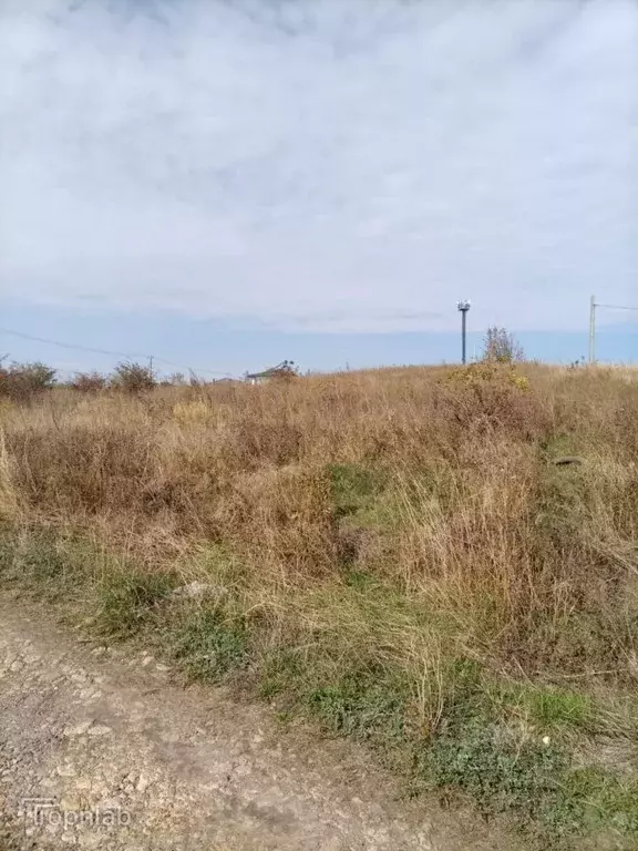 Участок в Ставропольский край, Шпаковский муниципальный округ, с. ... - Фото 2