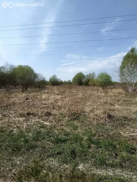 Участок в Московская область, муниципальный округ Егорьевск, деревня ... - Фото 1