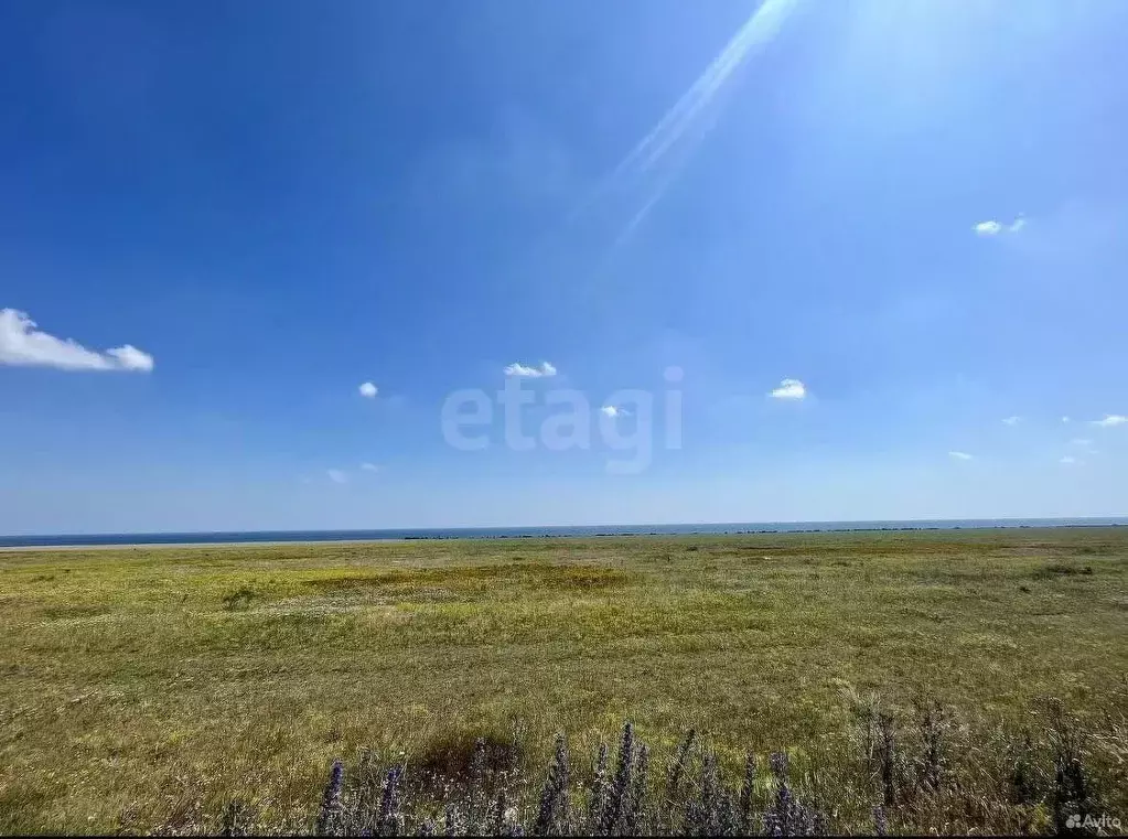 Участок в Крым, Черноморский район, с. Окуневка  (100.0 сот.) - Фото 1