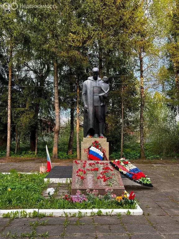Участок в деревня Деньково, 79 (8 м) - Фото 1