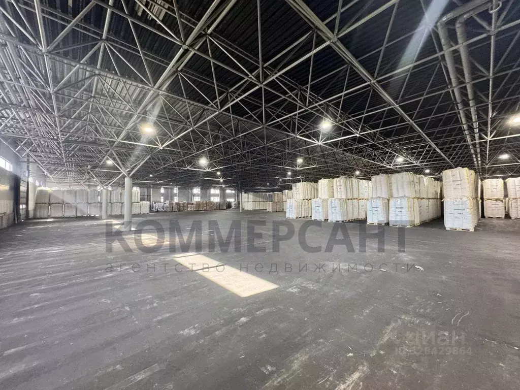 Склад в Нижегородская область, Нижний Новгород пос. Березовая Пойма, ... - Фото 1