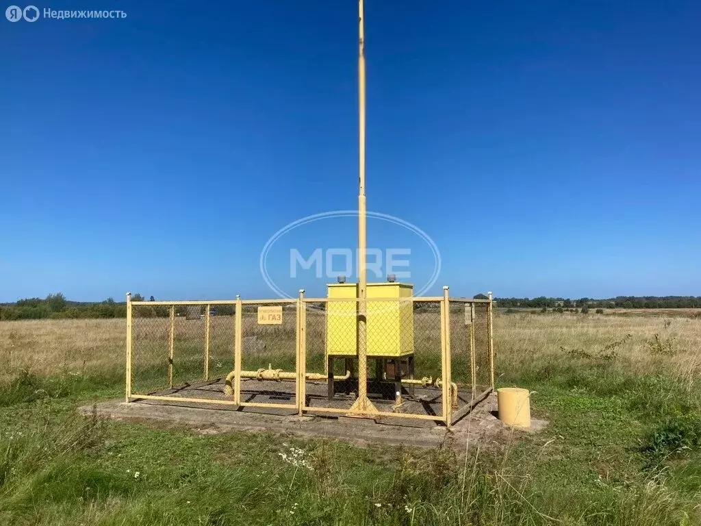 Участок в Калининградская область, Зеленоградский муниципальный округ, ... - Фото 2