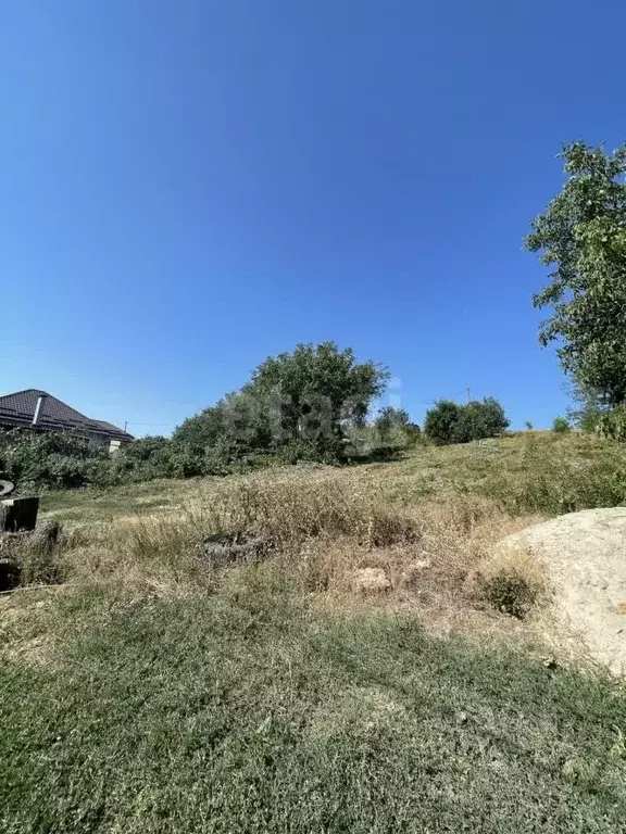 Участок в Ростовская область, Аксайский район, Большой Лог хут. ул. ... - Фото 1