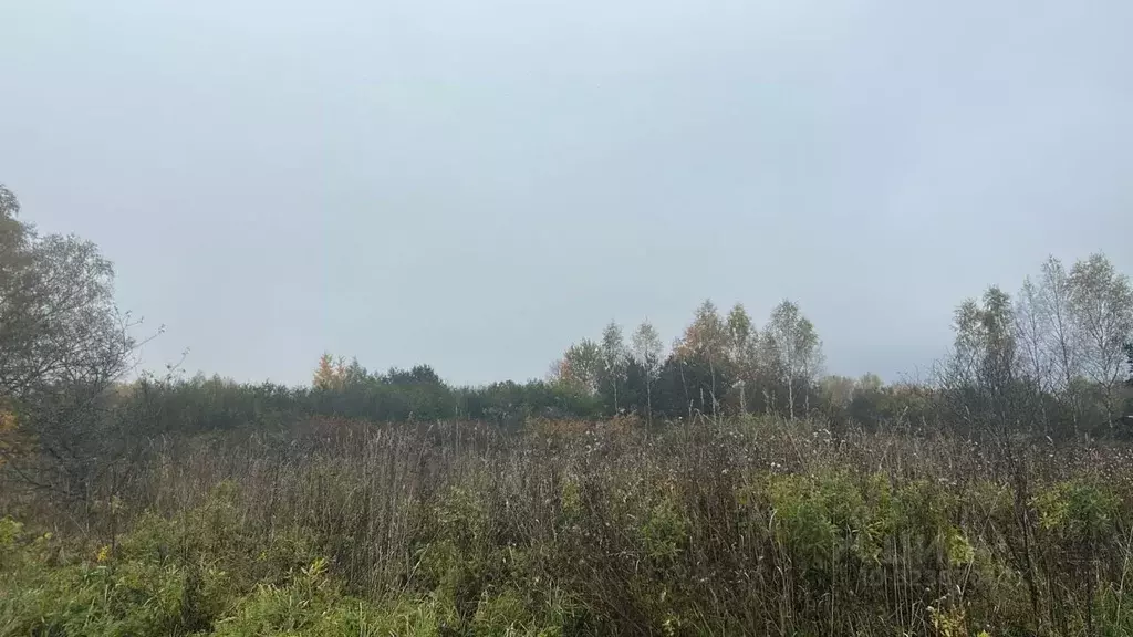 Участок в Московская область, Ступино городской округ, д. Толбино  ... - Фото 1