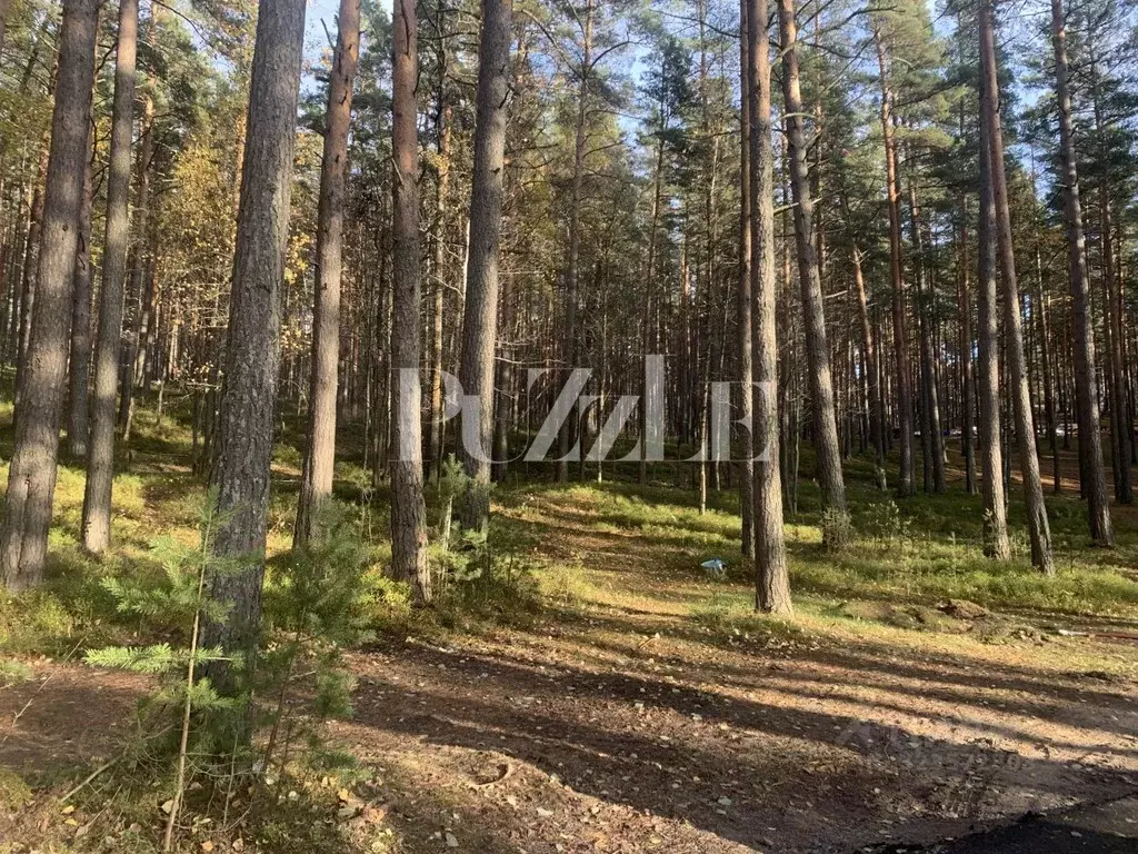Участок в Ленинградская область, Приозерский район, Петровское с/пос, ... - Фото 0