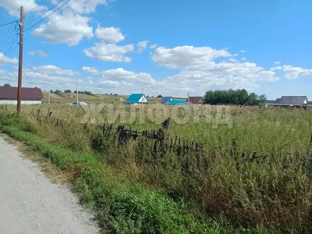 Участок в Новосибирская область, Ордынский район, с. Вагайцево ул. ... - Фото 1