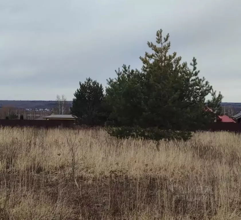 Участок в Московская область, Серпухов городской округ, д. Тульчино  ... - Фото 0