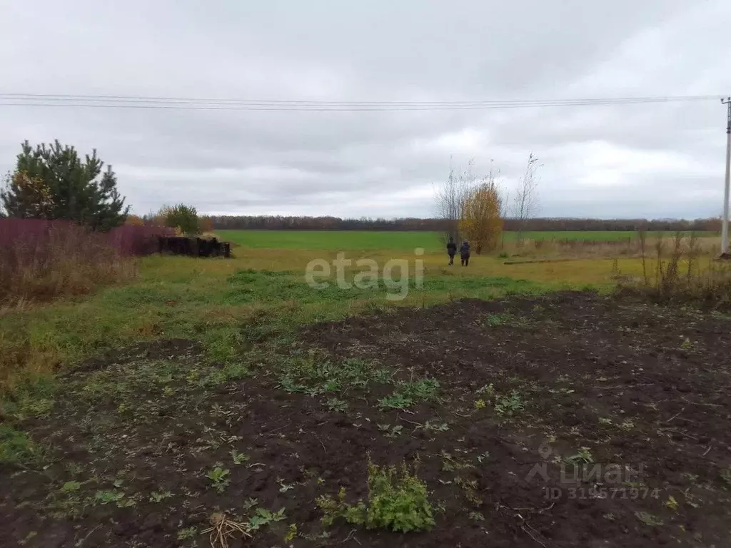 Участок в Владимирская область, Муром с. Ковардицы, ул. Вишневая, 41 ... - Фото 1