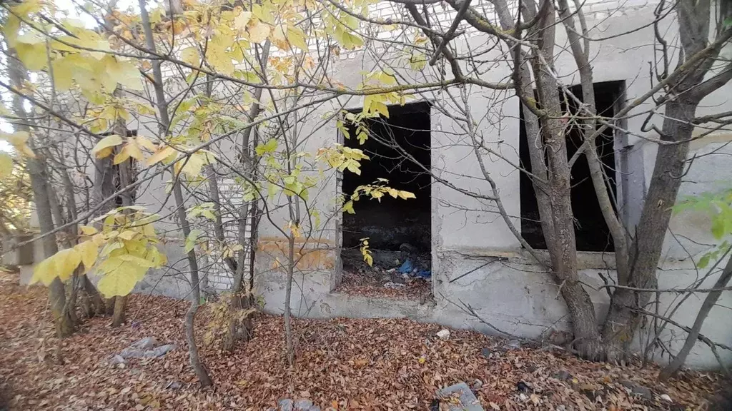 Помещение свободного назначения в Волгоградская область, Михайловский ... - Фото 1