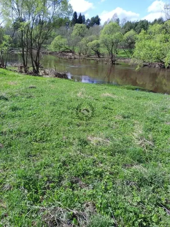 Участок в Калужская область, Износковский муниципальный округ, ... - Фото 2