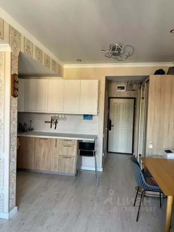 Студия Краснодарский край, Сочи городской округ, с. Орел-Изумруд ул. ... - Фото 0
