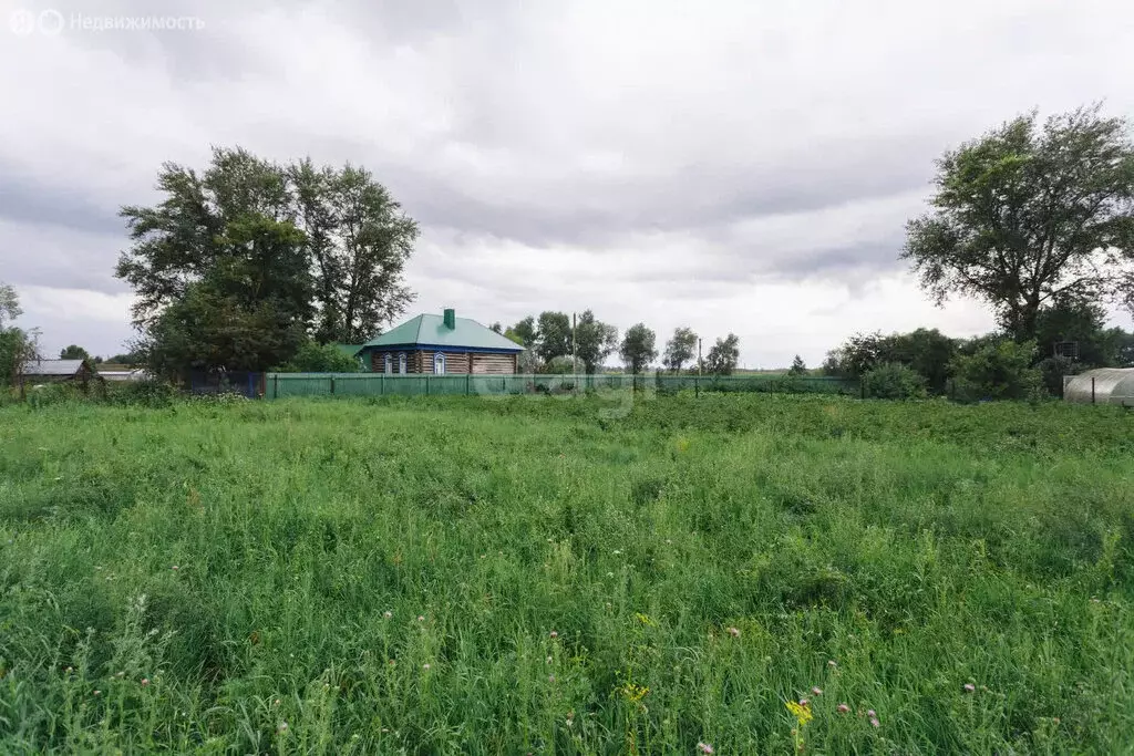 Участок в Кабаковский сельсовет, деревня Нижнетимкино (15 м) - Фото 2