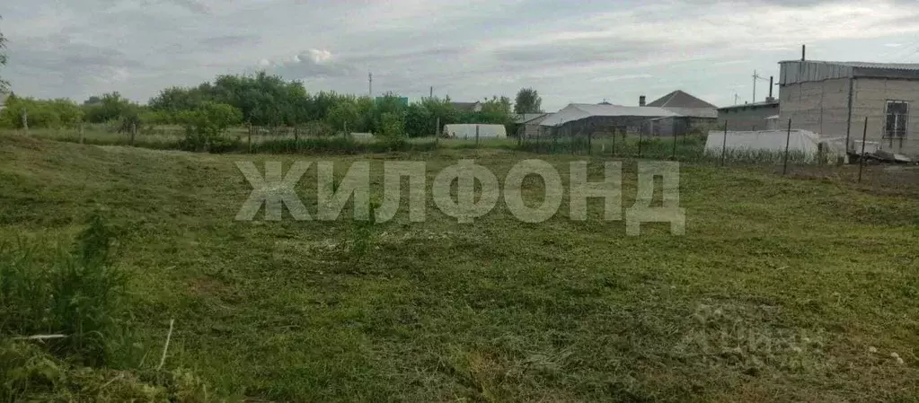 Участок в Новосибирская область, Колывань рп ул. Блюхера (8.0 сот.) - Фото 1