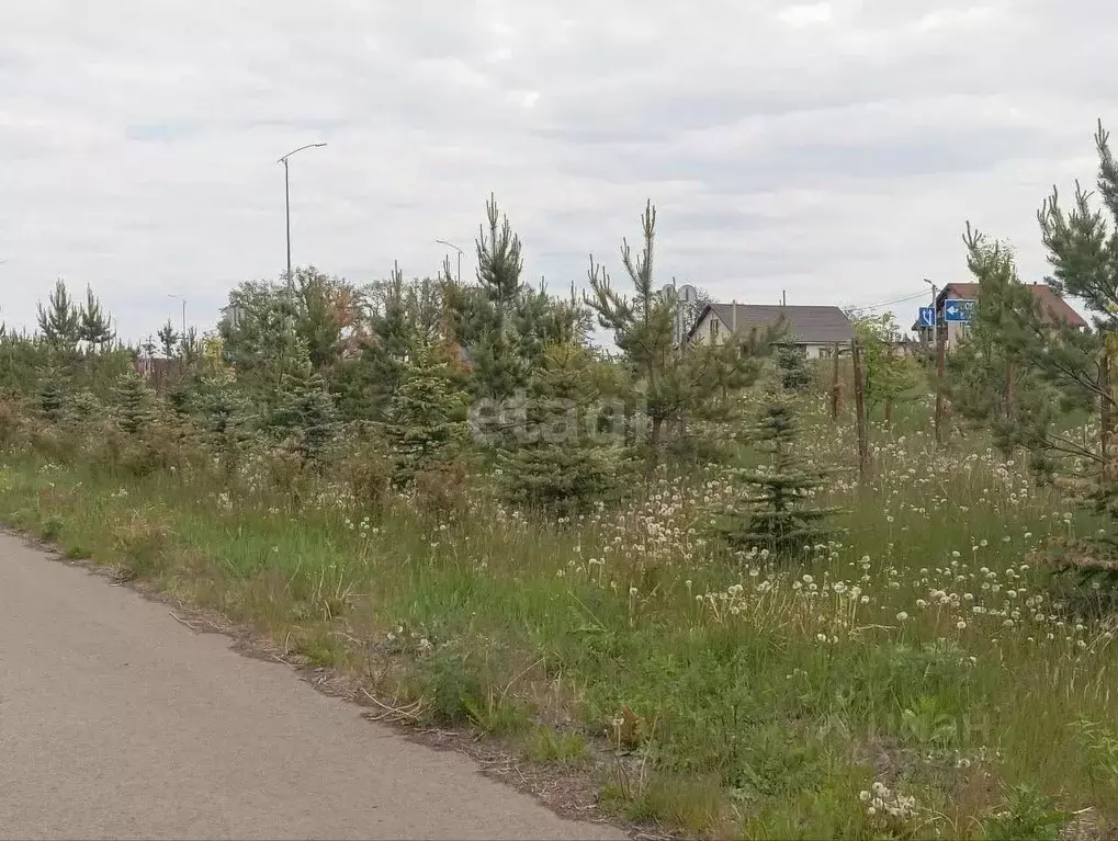 Участок в Белгородская область, Новооскольский муниципальный округ, с. ... - Фото 2