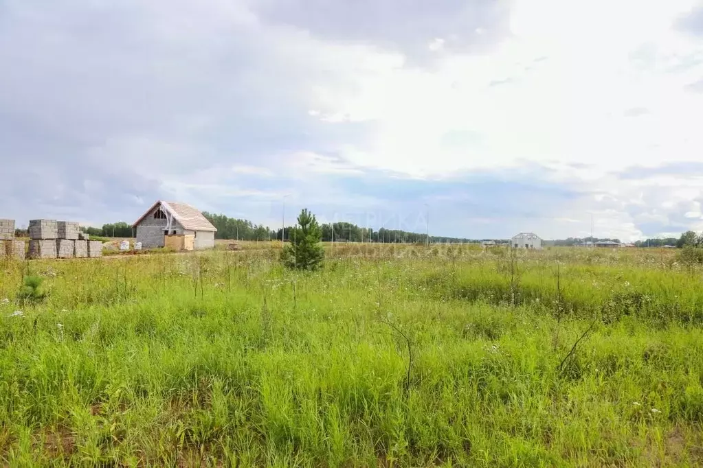 Участок в Тюменская область, Тюменский район, Новокаменский кп  (10.0 ... - Фото 0