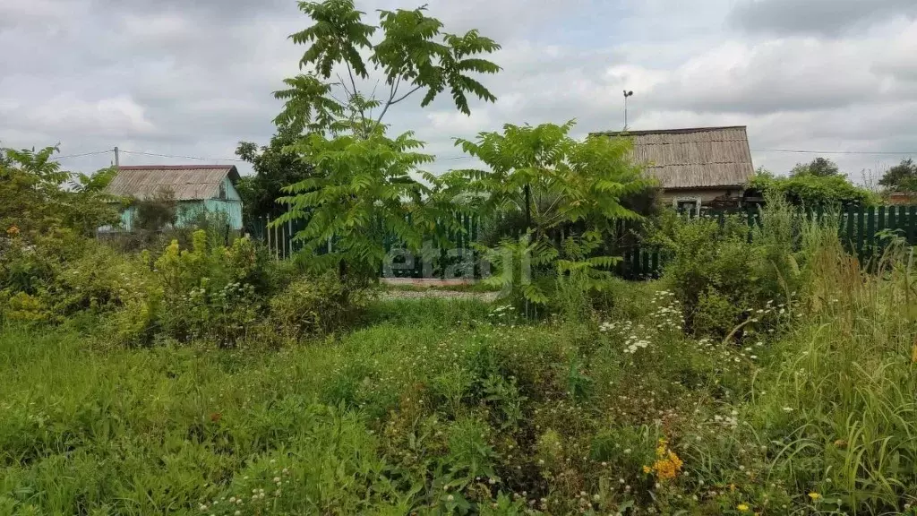 Дом в Хабаровский край, Хабаровск ул. Мичурина-4 (20 м) - Фото 1