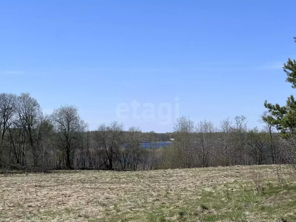 Участок в Тверская область, Осташков Нижние Рудины кв-л,  (1046.0 ... - Фото 0