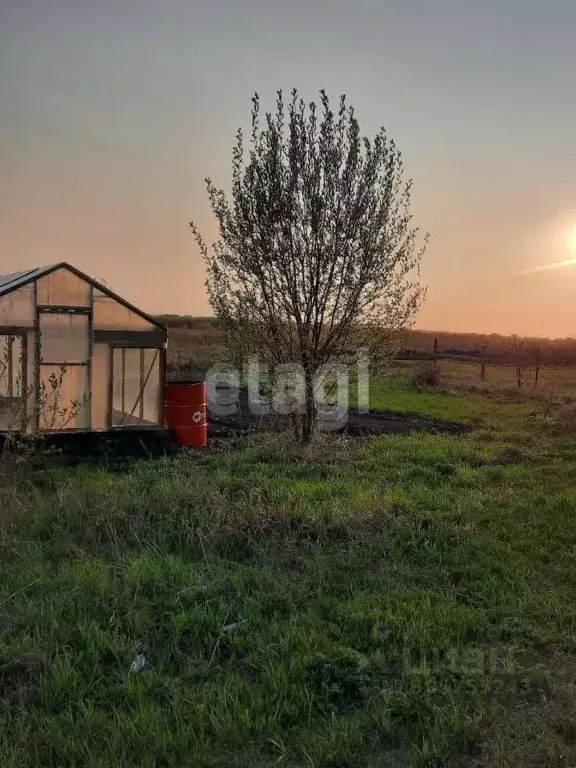 Участок в Кемеровская область, Кемерово Бодайбинская ул. (15.0 сот.) - Фото 0