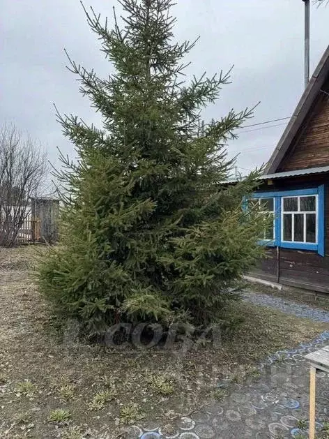 Дом в Тюменская область, Тюмень СОСН Лаванда тер., ул. 11-я (60 м) - Фото 1