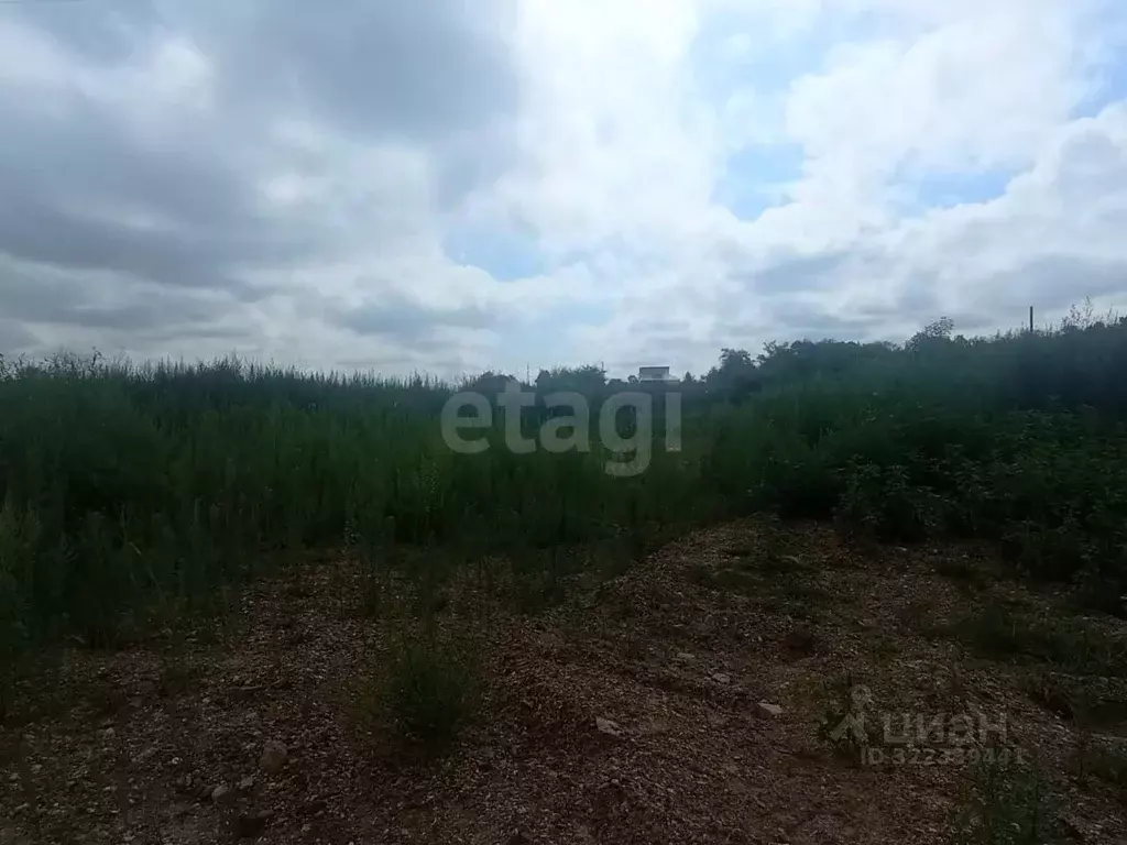 Участок в Амурская область, Благовещенский район, с. ... - Фото 2