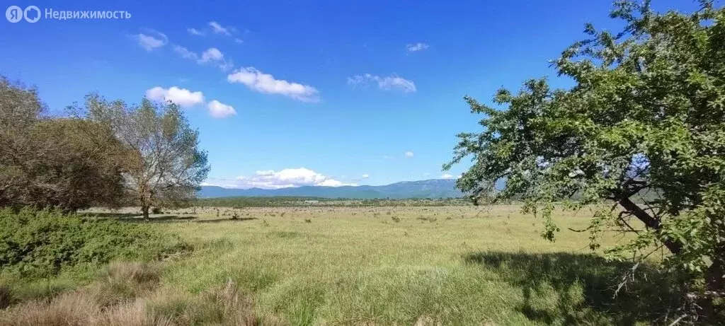 Участок в Орлиновский муниципальный округ, село Передовое, Минчугова ... - Фото 1