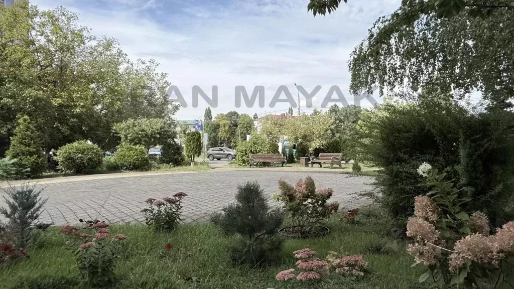 1-к кв. Адыгея, Майкоп Пионерская ул., 377А (51.5 м) - Фото 2