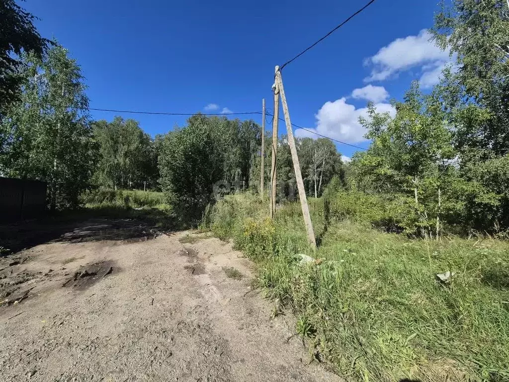 Участок в Челябинская область, Сосновский район, Кременкульское с/пос, ... - Фото 1