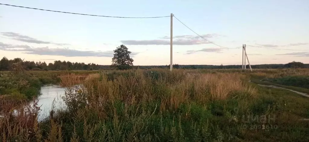 Участок в Владимирская область, Киржачский район, пос. Сергиевка  ... - Фото 1