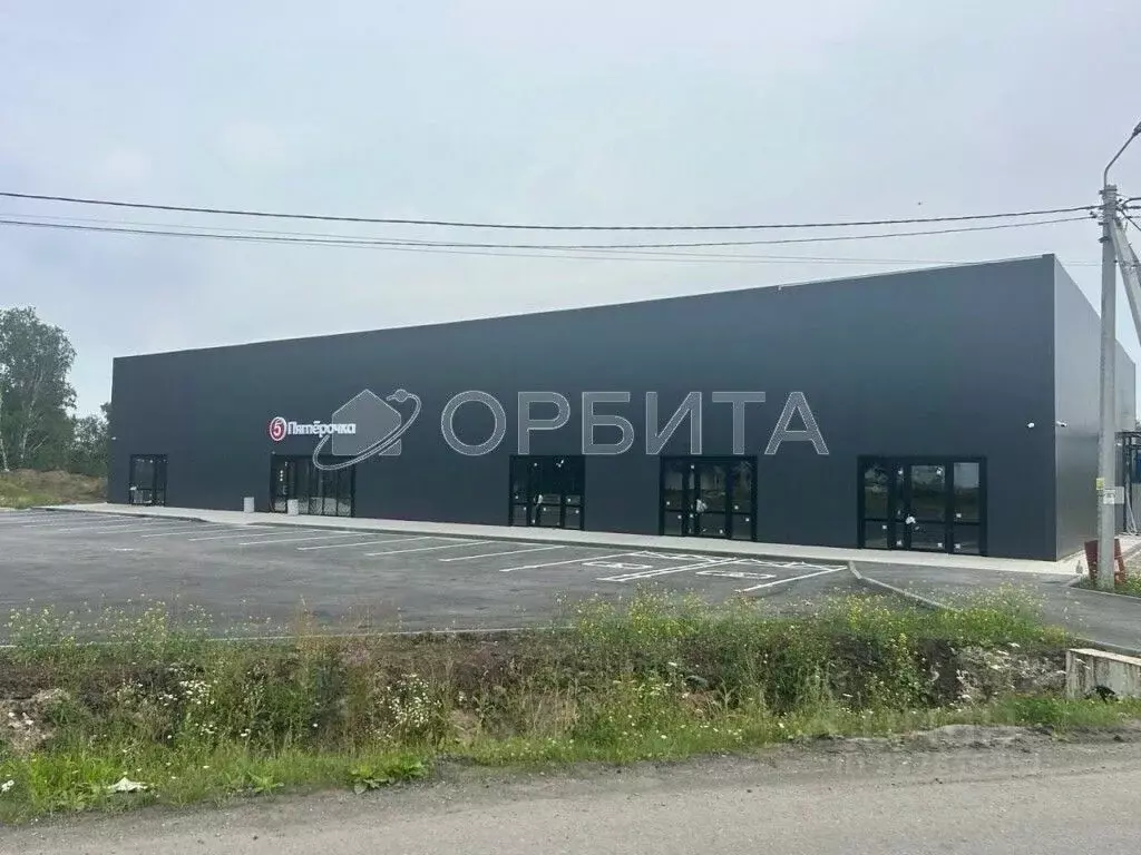 Участок в Тюменская область, Тюменский муниципальный округ, Онегин кп  ... - Фото 2