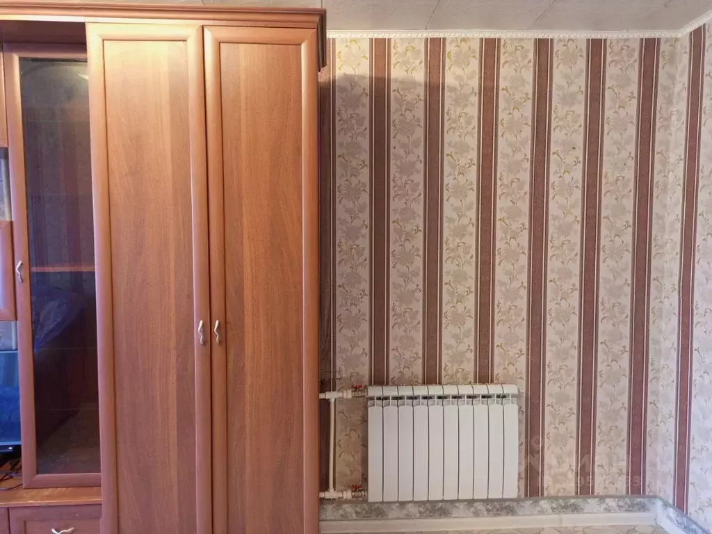 1-к кв. Орловская область, Мценский район, Отрадинское с/пос, с. ... - Фото 2