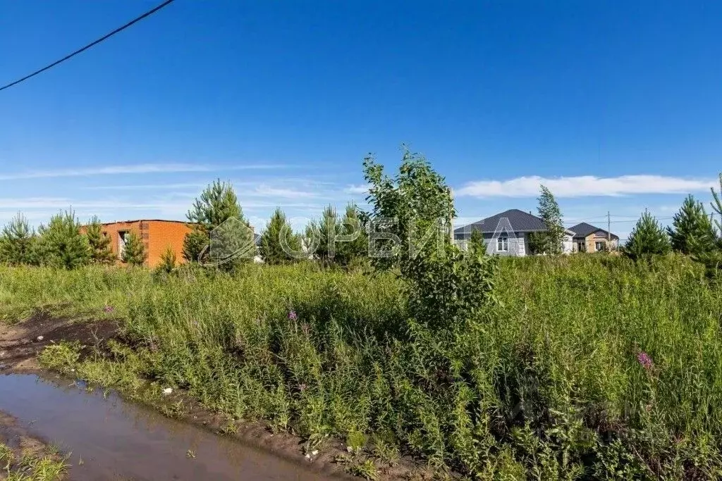 Участок в Тюменская область, Тюменский муниципальный округ, д. Елань, ... - Фото 2