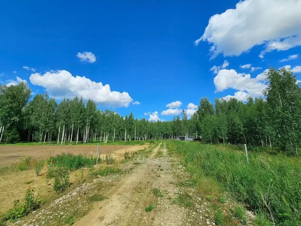 Участок в Ленинградская область, Тосненский район, Любанское городское ... - Фото 1