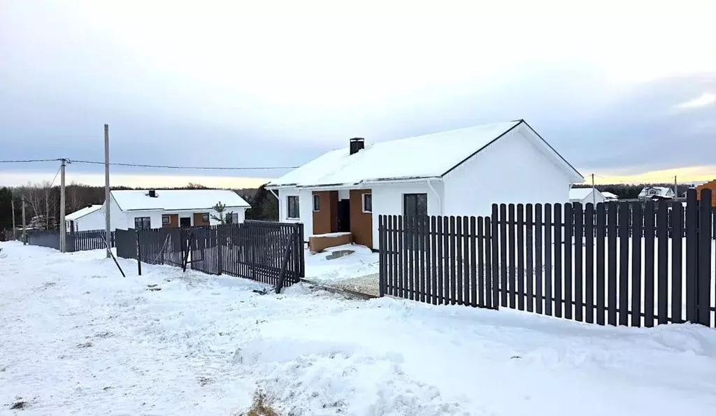 Дом в Нижегородская область, Нижний Новгород д. Афонино, ул. ... - Фото 1