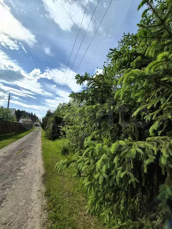 Участок 10 сот. (СНТ, ДНП) - Фото 1
