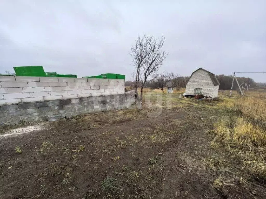 Участок в Белгородская область, Корочанский муниципальный округ, ... - Фото 1