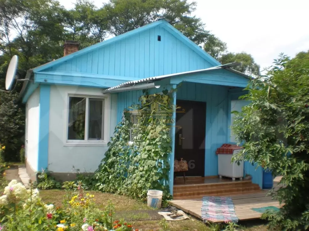 Авангард в приморском крае. Село Авангард Приморский край. Село Авангард Партизанский район. Партизанск село Авангард. Авангард Приморский край Партизанский район.