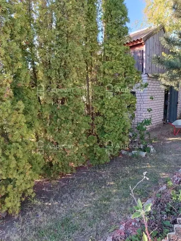 Дом в Волгоградская область, Волгоград Дружба Береславка СНТ,  (35 м) - Фото 0