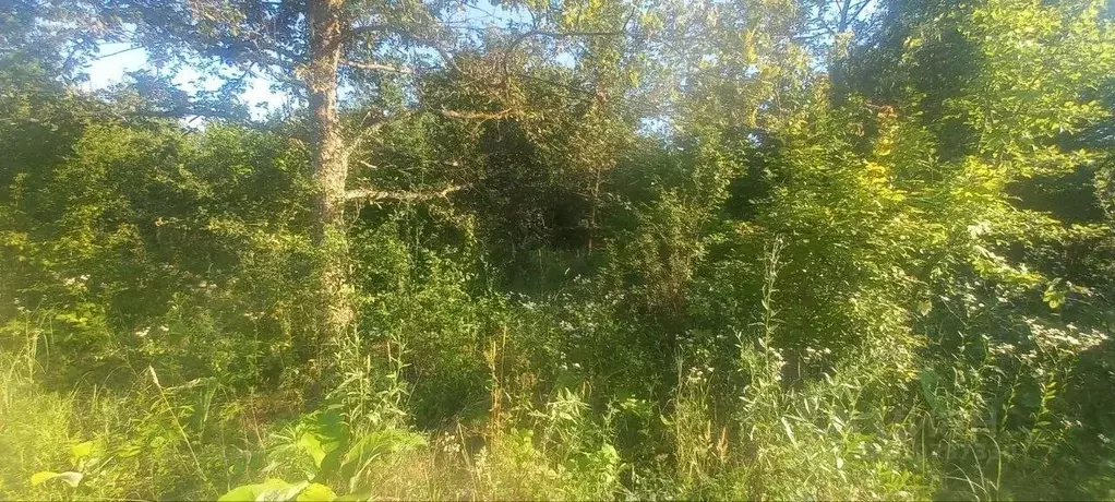 Участок в Краснодарский край, Северский район, Григорьевское с/пос, ... - Фото 1