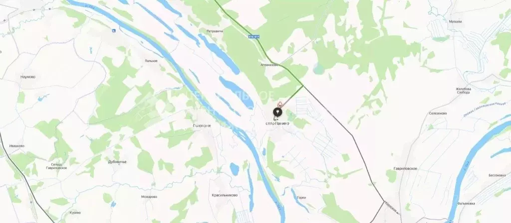 Участок в Рязанская область, Спасский район, Панинское с/пос, с. ... - Фото 2