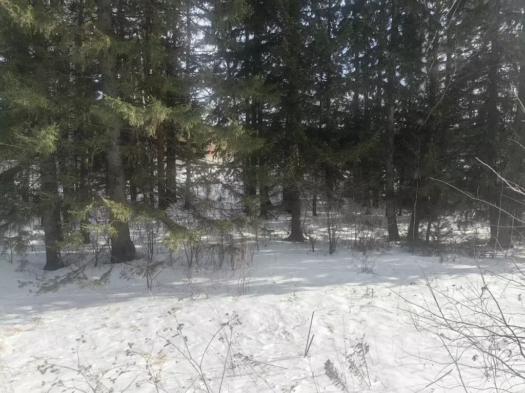 Участок в Красноярский край, Емельяновский муниципальный округ, Ясная ... - Фото 2