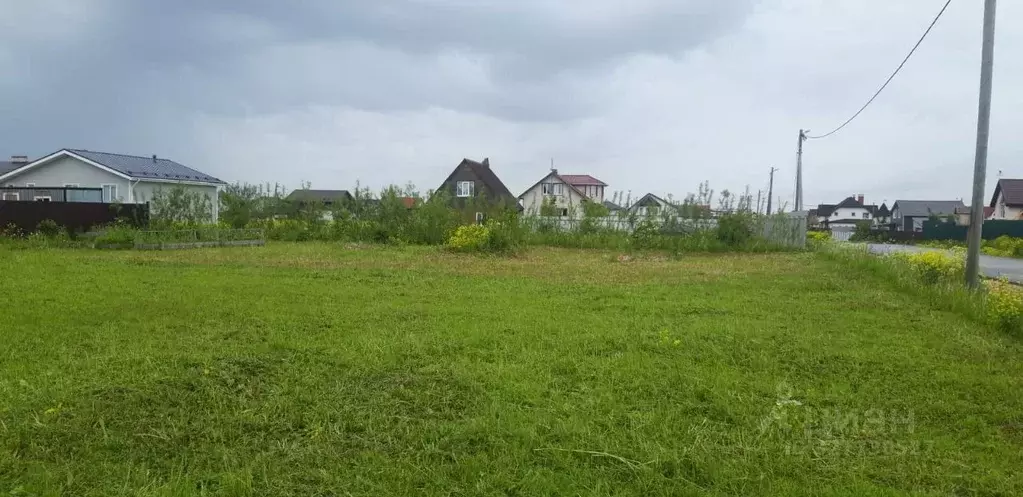 Участок в Ленинградская область, Ломоносовский район, Гостилицкое ... - Фото 2