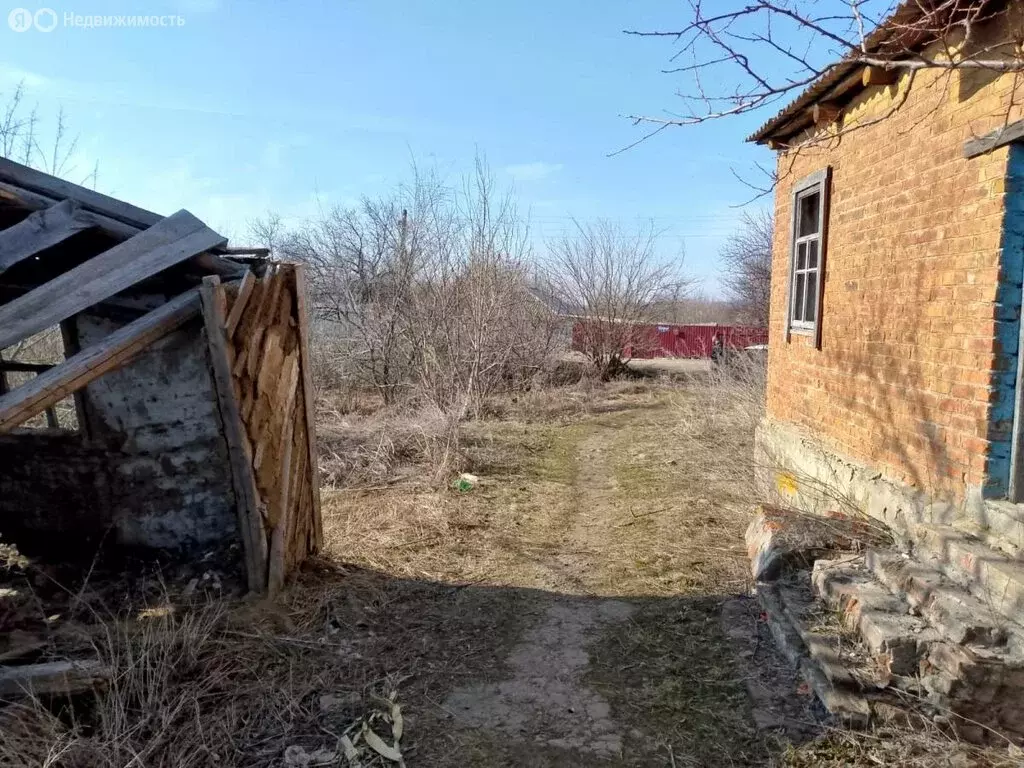Участок в хутор Нижнеговейный, улица Кривошлыкова (6 м) - Фото 1