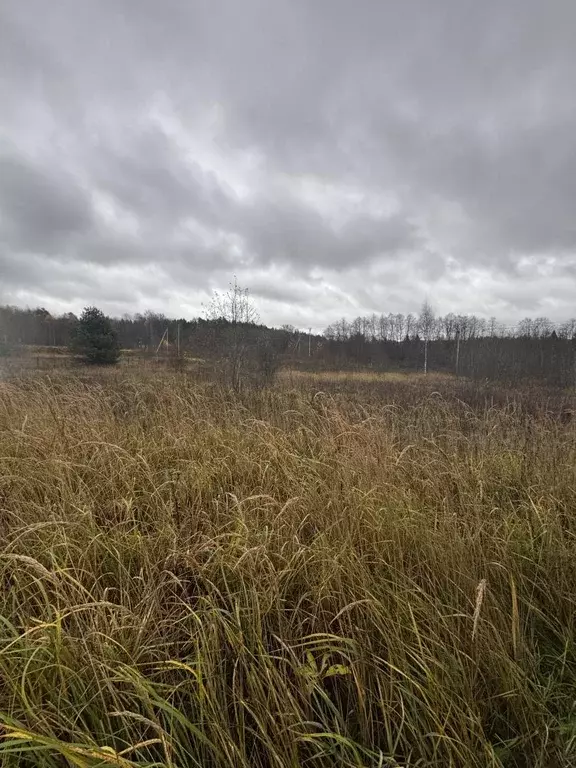 Продается участок в с. Новлянское - Фото 2