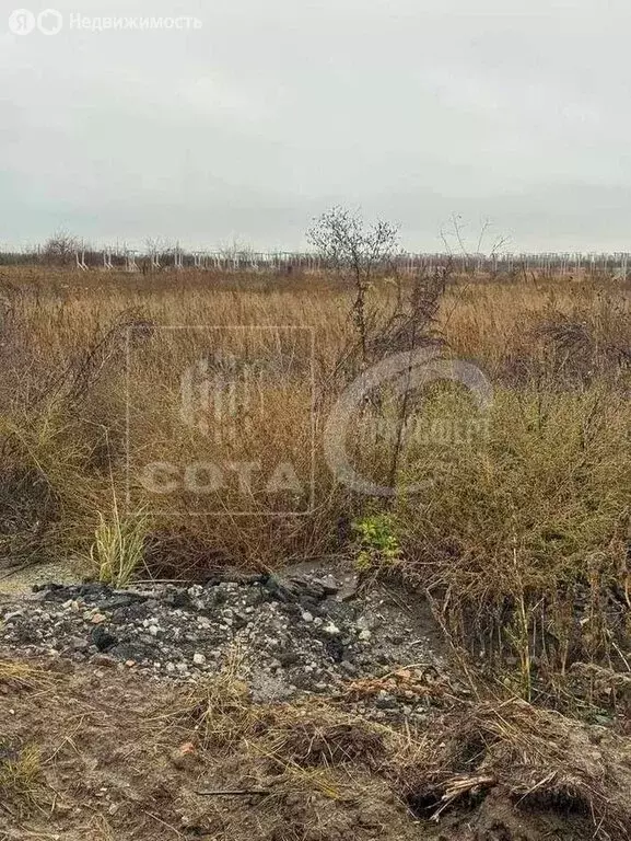 Участок в Бабяково, улица Воеводы Кобякова, 12 (10 м) - Фото 1